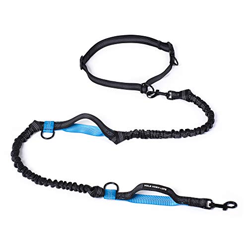 Mile High Life Freihändige Taillenleine für Hundetraining und Joggen, verstellbarer Gürtel mit doppeltem Griff, reflektierendes Bungee für mittelgroße und große Hunde, Blau, 2,1 m Mile High Life Freihändige Taillenleine für Hundetraining und Joggen, verstellbarer Gürtel mit doppeltem Griff, reflektierendes Bungee für mittelgroße und große Hunde, Blau, 2,1 m von Mile High Life