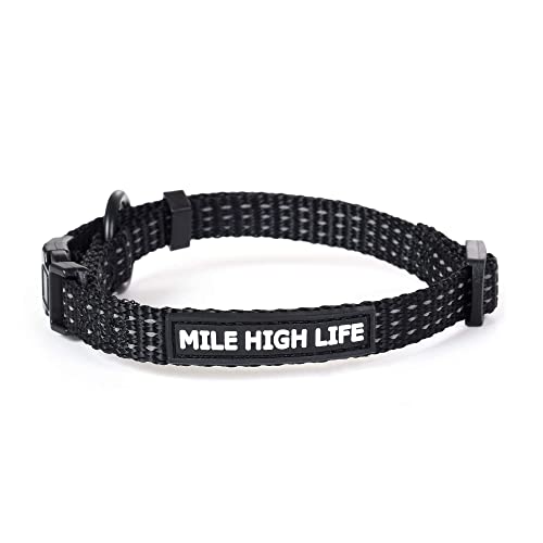 Mile High Life Hundehalsband, reflektierend, vier Streifen, D-Ring, Nylon, Schwarz, Größe XS (22,9 - 33 cm - 9 kg) von Mile High Life