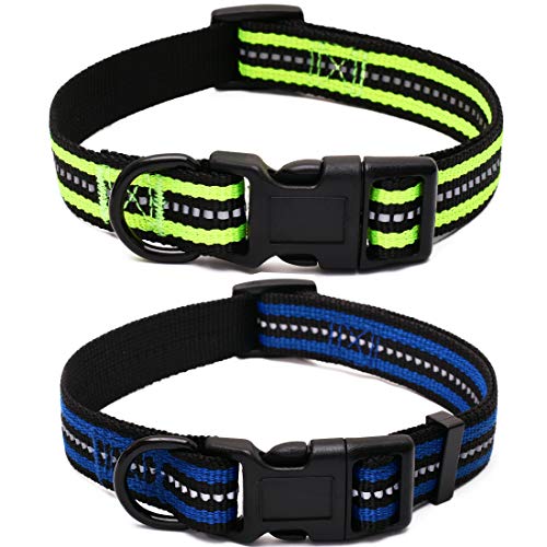 Mile High Life Night reflektierende Doppelstreifen Nylon Hundehalsband (2 Pack blau/Kalk, Großer Hals 41cm - 53cm - 24 KG) von Mile High Life