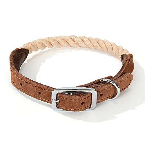 Mile High Life Premium Baumwollseil Hundehalsband aus echtem Leder Edelstahl Schnallenring (L, Hellbraun) von Mile High Life