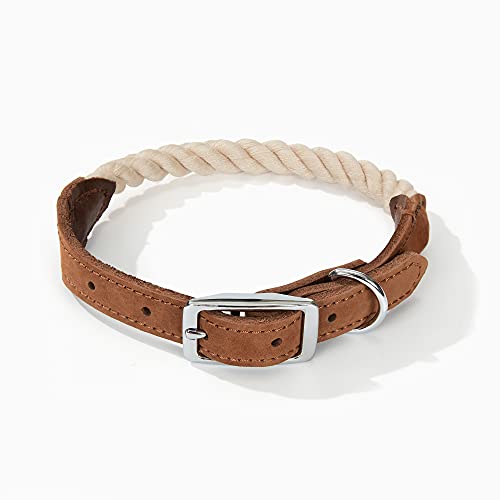 Mile High Life Premium Baumwollseil Hundehalsband aus echtem Leder Edelstahl Schnallenring (S, Beige) von Mile High Life