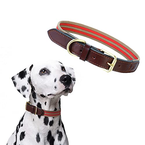 Mile High Life | Premium Canvas Leder-Hundehalsband | Metall-Pin Schnallenring Hundehalsband | Echtes Ledergürtel Halsband | für mittlere/Große Hunde (M, rot) von Mile High Life