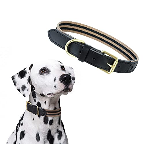 Mile High Life | Premium Canvas Leder-Hundehalsband | Metall-Pin Schnallenring Hundehalsband | Echtes Ledergürtel Halsband | für mittlere/Große Hunde (S, Schwarz) von Mile High Life