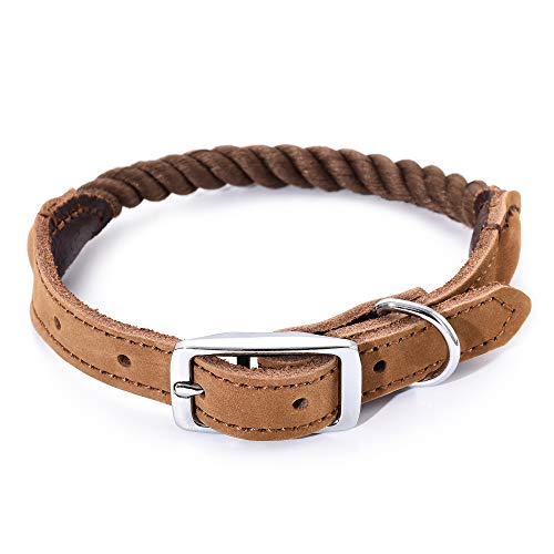 Mile High Life Premium Baumwollseil Hundehalsband aus echtem Leder Edelstahl Schnallenring (L, Dunkelbraun) von Mile High Life