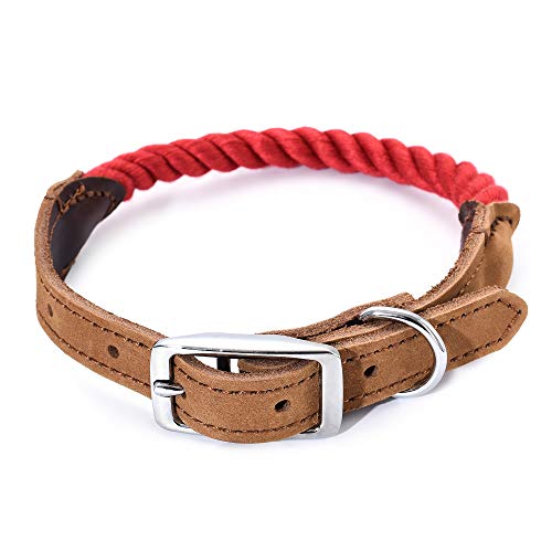 Mile High Life Premium Baumwollseil Hundehalsband aus echtem Leder Edelstahl Schnallenring (L, rot) von Mile High Life