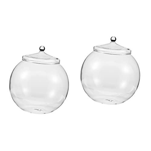 2st Eco-Flasche Transparente Flasche Wasserausbreitungsstation Hydroponische Pflanzen Pflanzenbehälter Selber Machen Hydrokultur-pflanzgefäß Tischdekoration Einfache Flasche Glas MILISTEN 2st Eco-Flasche Transparente Flasche Wasserausbreitungsstation Hydroponische Pflanzen Pflanzenbehälter Selber Machen Hydrokultur-pflanzgefäß Tischdekoration Einfache Flasche Glas MILISTEN von Milisten