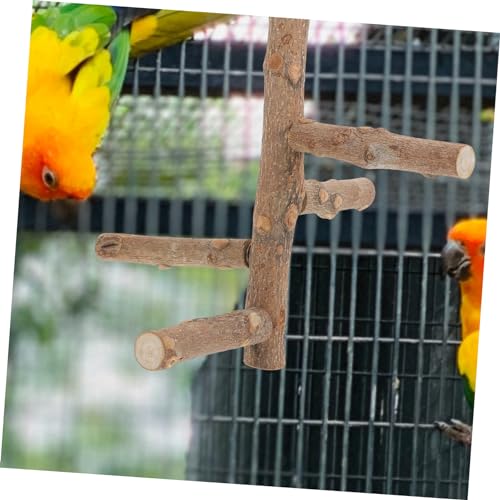 6 STK Vogel Stehender Stock Vogelkäfig-papageien Nagende Papageien Vogellaufstall Vogelkäfig-schönheit Vogelkäfig Hängendes Spielzeug Kauspielzeug Für Papageien Haustier Hölzern MILISTEN 6 STK Vogel Stehender Stock Vogelkäfig-papageien Nagende Papageien Vogellaufstall Vogelkäfig-schönheit Vogelkäfig Hängendes Spielzeug Kauspielzeug Für Papageien Haustier Hölzern MILISTEN von Milisten
