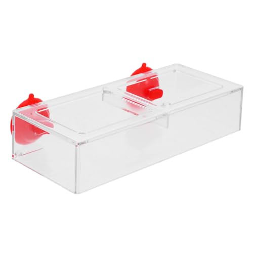 MILISTEN Urlaubsfutterspender Aquarium-futterspender Fischfutterspender Fischfutterschale Fischtank-Futter Garnelenfutterspender für Aquarium Betta-fischfutterspender MILISTEN Urlaubsfutterspender Aquarium-futterspender Fischfutterspender Fischfutterschale Fischtank-Futter Garnelenfutterspender für Aquarium Betta-fischfutterspender von Milisten
