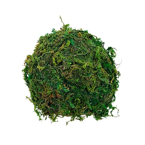 MILISTEN Stabile Eidechsen-Hide Cave Reptile Decor Hamster Shelter Schildkröte Sonnenplattform Für Zuhause MILISTEN Stabile Eidechsen-Hide Cave Reptile Decor Hamster Shelter Schildkröte Sonnenplattform Für Zuhause von Milisten