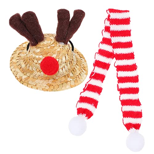 MILISTEN 1 Satz Eidechsenhut Weihnachtsmütze Schal Weihnachten Reptilien-weihnachtsmütze Mit Schal Eidechsen-Sombrero-Partyhut Mini-schal Mini-weihnachtsmütze Bartagamenmütze Haustier Garn von Milisten