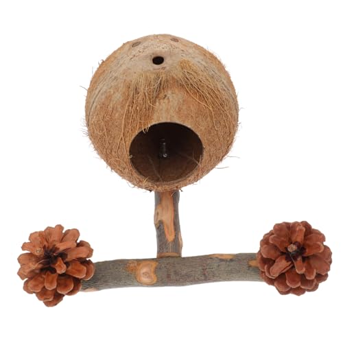 MILISTEN 1 Satz Papageienbett Pole Set Zweige des Papageienständers Heimtierbedarf Für Vögel Stange Für Papageienständer Stehender Stock Eines Papageis Holz Brown MILISTEN 1 Satz Papageienbett Pole Set Zweige des Papageienständers Heimtierbedarf Für Vögel Stange Für Papageienständer Stehender Stock Eines Papageis Holz Brown von Milisten