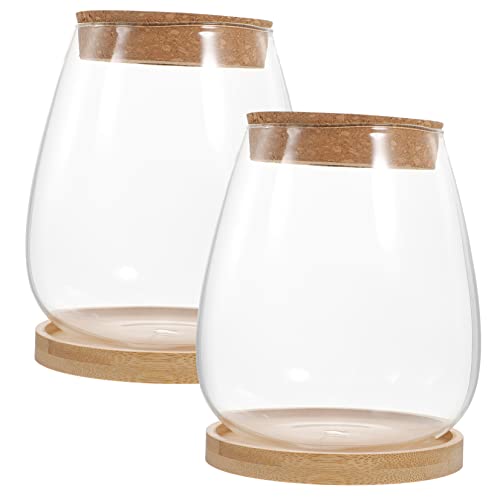 MILISTEN 1 Satz Pflanzenterrarium mit Holzständer innerspace büroradio Dekoration Badezimmer büro zubehör Garden Planter ökologische Flasche leeres Terrarium Ökologische Glasflasche Bambus von Milisten