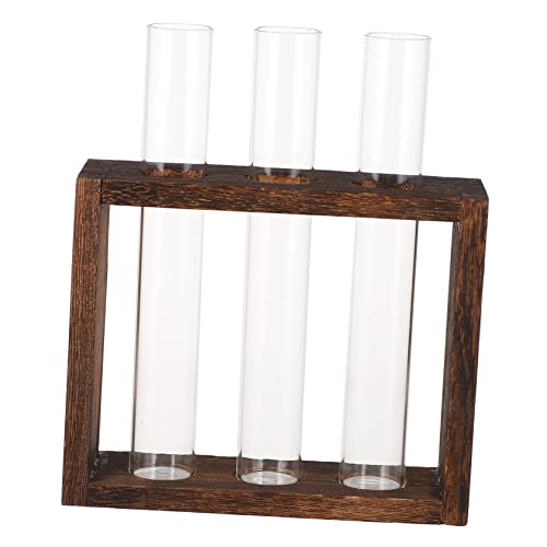 MILISTEN Blumenvase Röhrenpflanze Terrarium-Set Luftpflanze Glas-pflanzgefäß für Wohnzimmer Mini-hydroponik-pflanzendekor MILISTEN Blumenvase Röhrenpflanze Terrarium-Set Luftpflanze Glas-pflanzgefäß für Wohnzimmer Mini-hydroponik-pflanzendekor von Milisten