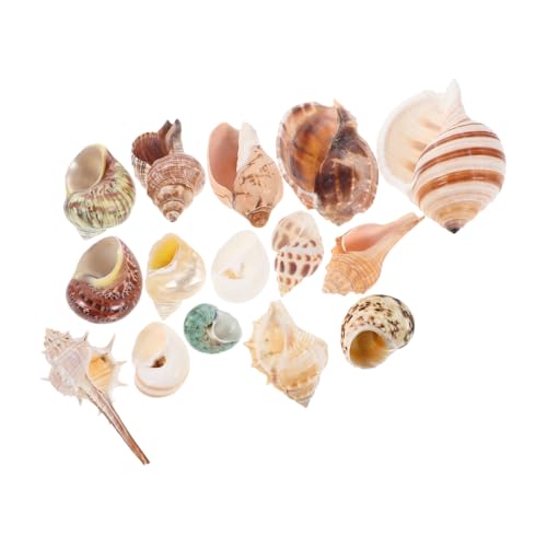 MILISTEN 15 Stück Teiliges Bunter Strandmuscheln Natürliche Dekoration für Aquarien DIY Bastelprojekte und Strandpartys für Süß und Salzwasserumgebungen MILISTEN 15 Stück Teiliges Bunter Strandmuscheln Natürliche Dekoration für Aquarien DIY Bastelprojekte und Strandpartys für Süß und Salzwasserumgebungen von Milisten