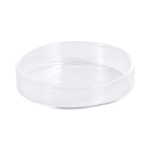 MILISTEN Glasgarnelenfutter für Aquarien Runde Schalen Futternapf Größe 8 für Garnelen und Fische Filigranes Design Unschädlich für Haustiere MILISTEN Glasgarnelenfutter für Aquarien Runde Schalen Futternapf Größe 8 für Garnelen und Fische Filigranes Design Unschädlich für Haustiere von Milisten