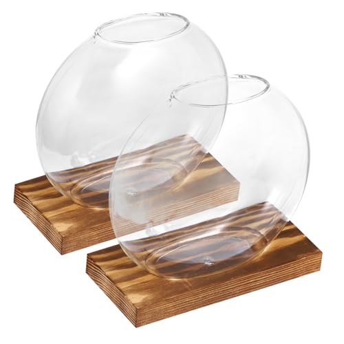 MILISTEN 2 Sätze Holzvase büro deko Office deko glasgefäß Terrarium Vivarium blumenvase Glasvase Pflanzenvermehrungsterrarien Tischausbreitungsstation Glas mit hohem Borosilikatgehalt von Milisten
