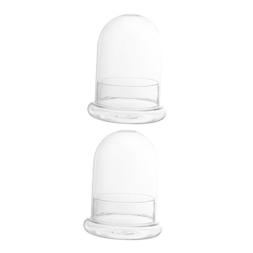 MILISTEN Moos Landschaft Container Pflanzen Container Glas Terrarium Dekorative Flasche Für Hause von Milisten