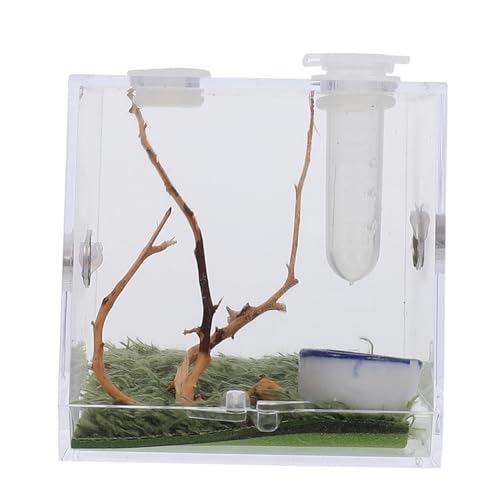 MILISTEN Terrarium Insekten 3 Sätze Springspinnen-zuchtbox Insektenhäuser Mini Terrarium Insektenhaus Lebensraum Geckos-käfig Mini-luftbefeuchter Tier Insekten Lebensraum Spinnenkäfig Acryl MILISTEN Terrarium Insekten 3 Sätze Springspinnen-zuchtbox Insektenhäuser Mini Terrarium Insektenhaus Lebensraum Geckos-käfig Mini-luftbefeuchter Tier Insekten Lebensraum Spinnenkäfig Acryl von Milisten