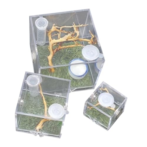 MILISTEN Acryl Springspinnen Zuchtbox Set Insektenbehälter Luftbefeuchter Fütterungskoffer Für Reptilien von Milisten