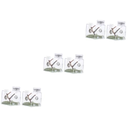 MILISTEN 3er-Box Springspinnen-zuchtbox Springender Spinnenlebensraum Aquariumzubehör Mini-Lebewesen Klares Reptilienterrarium Luftbefeuchter Für Reptilien Springender Spinnenkäfig Acryl MILISTEN 3er-Box Springspinnen-zuchtbox Springender Spinnenlebensraum Aquariumzubehör Mini-Lebewesen Klares Reptilienterrarium Luftbefeuchter Für Reptilien Springender Spinnenkäfig Acryl von Milisten