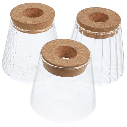 Milisten 3st Hydro Ponische Pflanzen Flasche Boho- Vermehrungskübel Glas Zubehör Für Terrarien Pflanzendekorationen Terrarienglas Desktop-pflanzgefäß Vermehrungsgefäße Kork Transparent Milisten 3st Hydro Ponische Pflanzen Flasche Boho- Vermehrungskübel Glas Zubehör Für Terrarien Pflanzendekorationen Terrarienglas Desktop-pflanzgefäß Vermehrungsgefäße Kork Transparent von Milisten