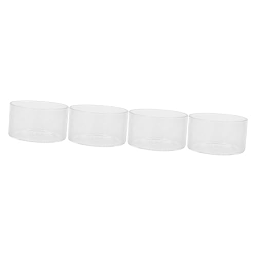 MILISTEN 4 Stück Mikrolandschaftspflanzen Runder Pflanzentopf Mikro-landschaftsflasche Blumenbehälter Mikrolandschaft Terrarium Terrarienschale Vermehrungstopf Schüssel Glas Transparent MILISTEN 4 Stück Mikrolandschaftspflanzen Runder Pflanzentopf Mikro-landschaftsflasche Blumenbehälter Mikrolandschaft Terrarium Terrarienschale Vermehrungstopf Schüssel Glas Transparent von Milisten