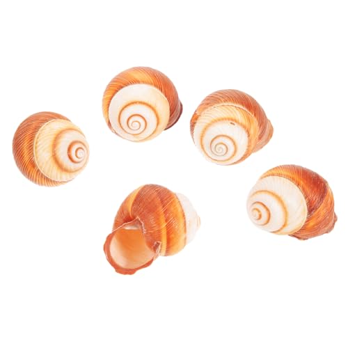 MILISTEN 5 Stück Teiliges Essbare Natürliche Escargot Schneckenschalen mit Rillen Rutschfestes Kochzubehör für Französische Gebackene Schnecken Sicher und Praktisch für Restaurant und von Milisten