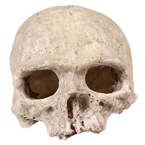 MILISTEN 5st Totenkopfdekoration Aus Kunstharz Aquarium-landschaftsdekor Schädelmodell Fischbecken Versteck Aquarium Dekorationen Reptilienschädelhöhle Dekorationen Für Terrarien MILISTEN 5st Totenkopfdekoration Aus Kunstharz Aquarium-landschaftsdekor Schädelmodell Fischbecken Versteck Aquarium Dekorationen Reptilienschädelhöhle Dekorationen Für Terrarien von Milisten