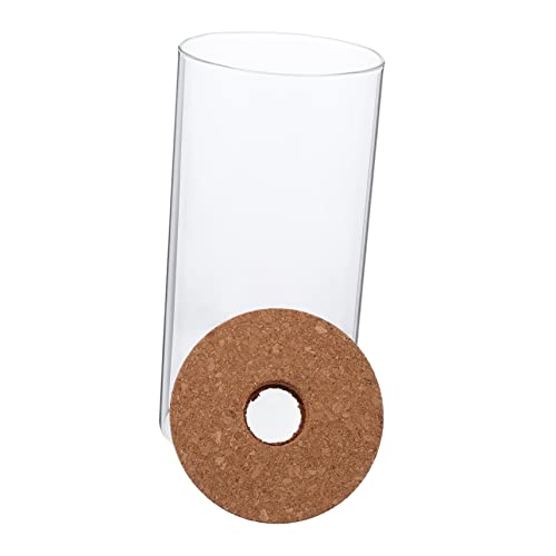 MILISTEN Aquarium Landschaftsbehälter Anlage Luftpflanzen Terrarium Micro-Landschafts-DIY-Flasche zylindrische Glasflasche Moos-Landschaftsbauflasche DIY-Mikrolandschaftsflasche Transparent von Milisten