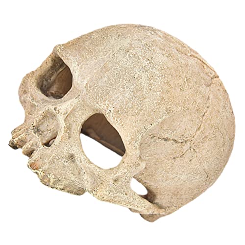 MILISTEN Aquarium Skull Dekoration Harz Kopf Unterschlupf für Reptilien und Fische Hiding Cave Ornament für Fischbecken und Terrarien Stilvolle Aquariengestaltung und Tischdekoration von Milisten
