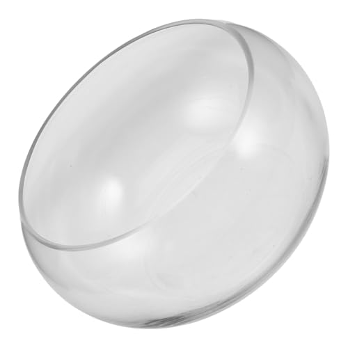 MILISTEN Blumentopf Aus Glas Vase Dekorativ Großes Fischglas Pflanzgefäße Für Freilandpflanzen Desktop Wächter Aquarium Terrarien Schreibtisch Pflanztöpfe Für Zimmerpflanzen Transparent von Milisten
