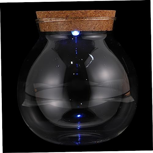 MILISTEN Microlandscape Container Glattes Glasterrarium für Die Inneneinrichtung MILISTEN Microlandscape Container Glattes Glasterrarium für Die Inneneinrichtung von Milisten