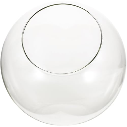 MILISTEN Glas Terrarium Für Moos Kreative Desktop Mikrolandschaft Flasche DIY Leere Vase Für Zuhause Elegante Deko Für Garten Und Events Einfach Zu Reinigen von Milisten