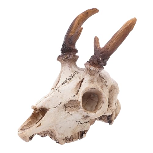 MILISTEN Elchschädel-Ornamente Schutzhülle Schutz Elch Dekoration Echsendekoration Kit Laternen Kopfschutz Gecko Dekoration Reptilien Habitat wüstenterrarium Reptilienholz awxzom Harz MILISTEN Elchschädel-Ornamente Schutzhülle Schutz Elch Dekoration Echsendekoration Kit Laternen Kopfschutz Gecko Dekoration Reptilien Habitat wüstenterrarium Reptilienholz awxzom Harz von Milisten