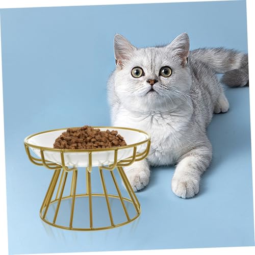 MILISTEN Erhöhte Keramik Katzennapf mit Metallständer Anti erbrechen Design rutschfest Langlebig und Geruchlos Praktisches für Katzenfutter und Wasser Zuhause Professionellen Einsatz MILISTEN Erhöhte Keramik Katzennapf mit Metallständer Anti erbrechen Design rutschfest Langlebig und Geruchlos Praktisches für Katzenfutter und Wasser Zuhause Professionellen Einsatz von Milisten