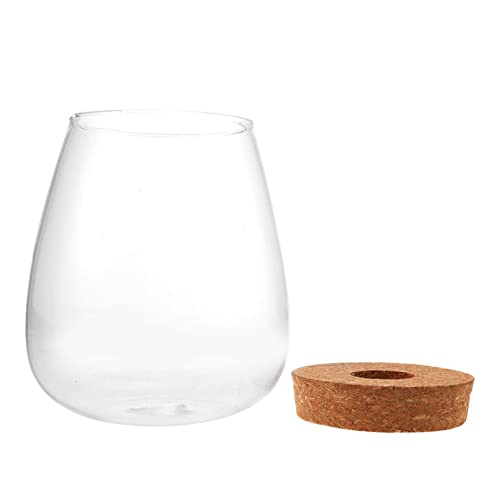 MILISTEN Microlandscape Flasche Hydrokultur Pflanze Terrarium Home Office Präsentieren von Milisten