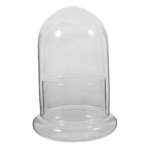 MILISTEN Glas-Terrarium-Mikrolandschaftsflasche: 5 5 X 7 8 Glasflaschenbehälter Für Miniatur-Sukkulenten-Aufbewahrung (Keine Pflanzen). von Milisten
