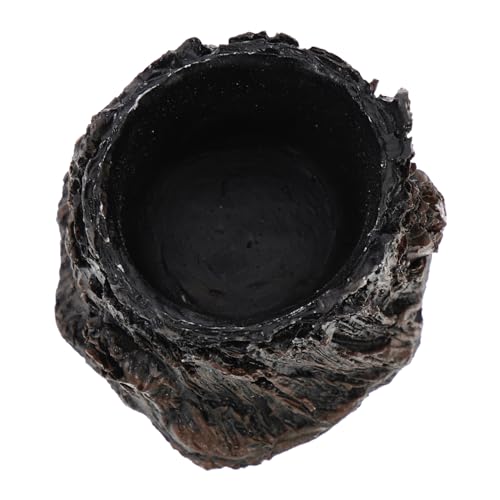 Milisten Reptilien Wasser Und Futterschüssel Aus Langlebigem Resin Dekorativ Für Terrarien Für Schildkröten Und Andere Kleintiere Einfache Handhabung Und Pflege Authentisches Design Milisten Reptilien Wasser Und Futterschüssel Aus Langlebigem Resin Dekorativ Für Terrarien Für Schildkröten Und Andere Kleintiere Einfache Handhabung Und Pflege Authentisches Design von Milisten