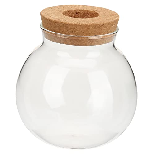 MILISTEN Wasserterrarium – Glasterrarien Für Pflanzen | Hydroponische Vase Für Frische Blumen von Milisten