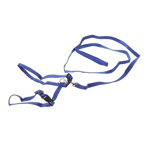 MILISTEN Kaninchenleine führen Hasen Spielzeug kaninchenspielzeuge hasenfreilauf hasenzubehör Rabbit Toys Kaninchengeschirr und Leine Katzenleine keilriemen Leine für Kaninchengeschirr MILISTEN Kaninchenleine führen Hasen Spielzeug kaninchenspielzeuge hasenfreilauf hasenzubehör Rabbit Toys Kaninchengeschirr und Leine Katzenleine keilriemen Leine für Kaninchengeschirr von Milisten