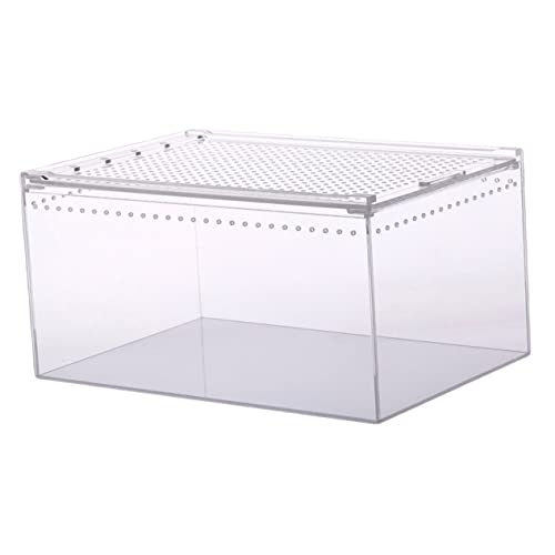 MILISTEN Kasten Krabbelbox Aus Acryl Vogelspinnengehege Reptilien Inkubator Kleine Tierhäuser Reptilienspeicher Kletternder Futterbehälter Für Haustiere Eidechsenbecken Gehäuse Transparent MILISTEN Kasten Krabbelbox Aus Acryl Vogelspinnengehege Reptilien Inkubator Kleine Tierhäuser Reptilienspeicher Kletternder Futterbehälter Für Haustiere Eidechsenbecken Gehäuse Transparent von Milisten