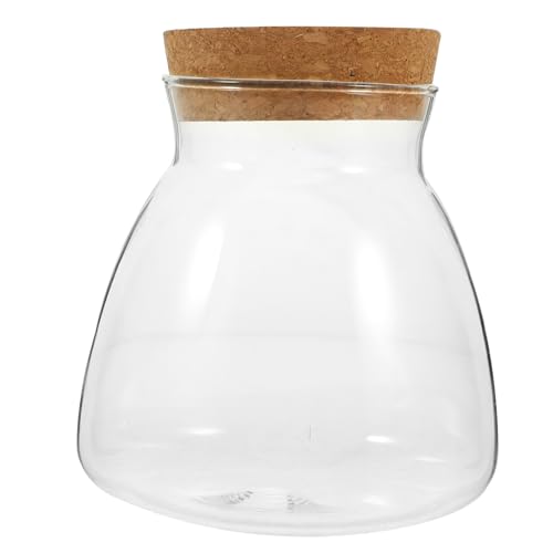 MILISTEN Süßigkeitenglas Hydrokulturvase Terrarienpflanzen Transparenter Terrarienbehälter Behälter Für Hydroponische Pflanzen Wasserausbreitungsstation Moos Terrarium Ornamente Fee Eiche MILISTEN Süßigkeitenglas Hydrokulturvase Terrarienpflanzen Transparenter Terrarienbehälter Behälter Für Hydroponische Pflanzen Wasserausbreitungsstation Moos Terrarium Ornamente Fee Eiche von Milisten