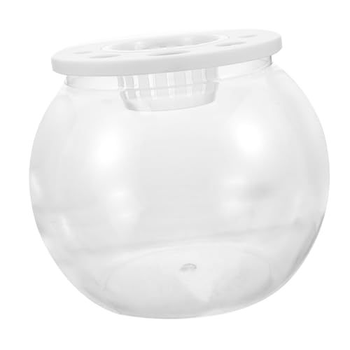 MILISTEN Kleiner Transparenter Plastik Fischbehälter mit Stabilem Kunststoff Multifunktionaler Aquarium Terrarium für Goldfische Schildkröten und Kleine Reptilien Dekoratives Desktop Deko von Milisten
