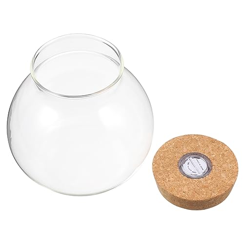 MILISTEN Glasflasche mit -licht für Aquarien Dekoration für Zuhause Landschaftsflasche von Milisten
