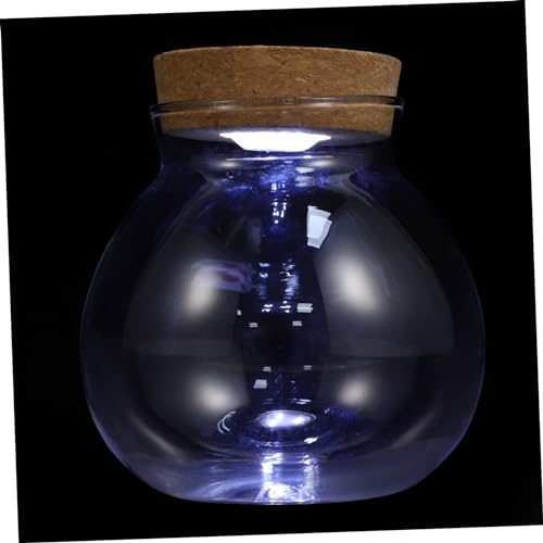 MILISTEN Landschaftsflasche led ligts led-Light Popular ökologische Flasche Ökologische Aquarienflasche mini glasflaschen basteln Mikrolandschaftshalter zylindrische Glasflasche Holz Weiß MILISTEN Landschaftsflasche led ligts led-Light Popular ökologische Flasche Ökologische Aquarienflasche mini glasflaschen basteln Mikrolandschaftshalter zylindrische Glasflasche Holz Weiß von Milisten