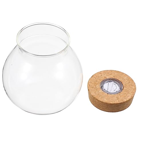 MILISTEN Starke Borosilikatglas Fisch Tank Licht Landschaft Flasche für Home Decor von Milisten