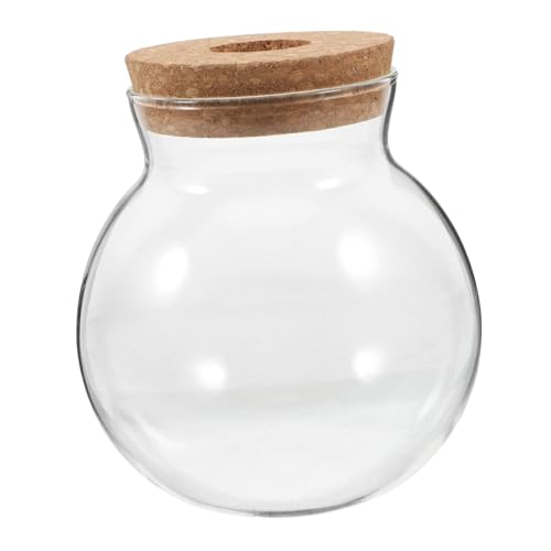 MILISTEN Mikro Landschaftsflasche Glas Hydrokulturbehälter Fischvase Farn Terrarium Glas Vermehrungsstation Runde Glasvase Glas Terrarium Für Pflanzen Transparentes Holz MILISTEN Mikro Landschaftsflasche Glas Hydrokulturbehälter Fischvase Farn Terrarium Glas Vermehrungsstation Runde Glasvase Glas Terrarium Für Pflanzen Transparentes Holz von Milisten