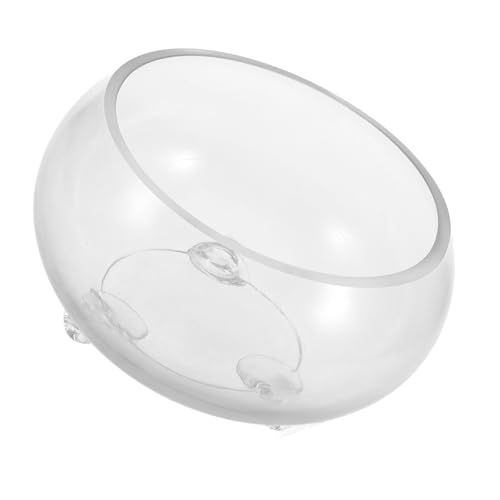 MILISTEN Mikro-Landschaftsglas-Aquarium Glasfischschale Terrariumglas sicherheitsglas Goldfischschüssel Sukkulenten Glasvase großes Fischglas Seerose Schale große Pflanzschale Transparent von Milisten