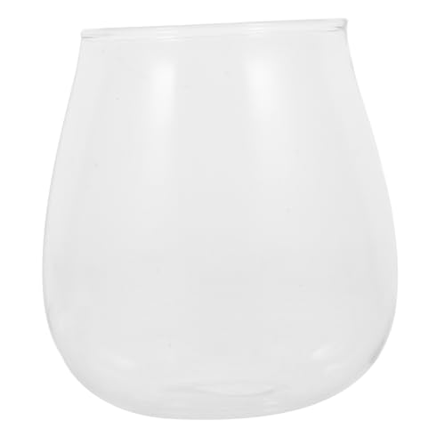 MILISTEN Moospflanze Flasche Landschaft Flasche Dekorative Glas Terrarium Glas Für Wohnzimmer von Milisten