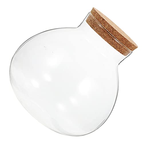 MILISTEN Moos Landschaft Container Dekoration Pflanzen Kork Geschlossenes Terrarium Flasche Mini Anlage Stopper Moos Handwerk Dekorativer Mikro-landschaftsbehälter Hausbedarf Glas von Milisten